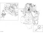 49025.jpg
