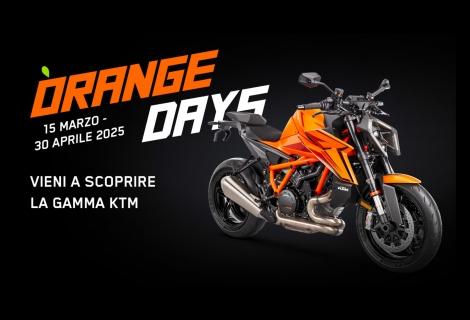 ORANGE-DDAYS.png