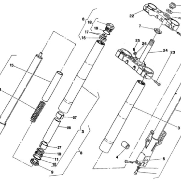 28936.jpg