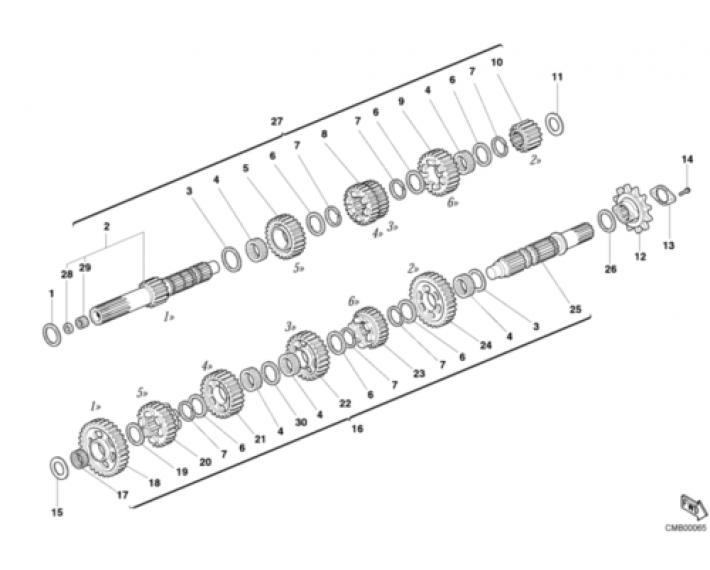 28605.jpg