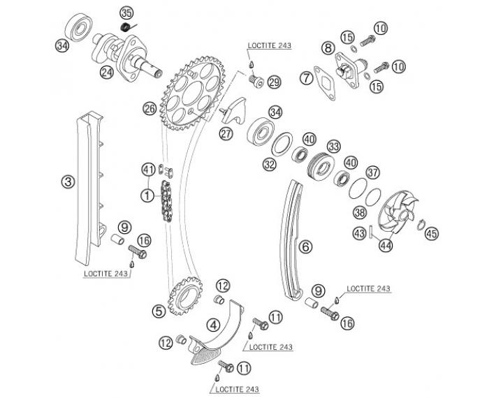 45705.jpg