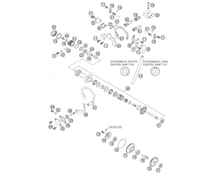 503370204444.gif
